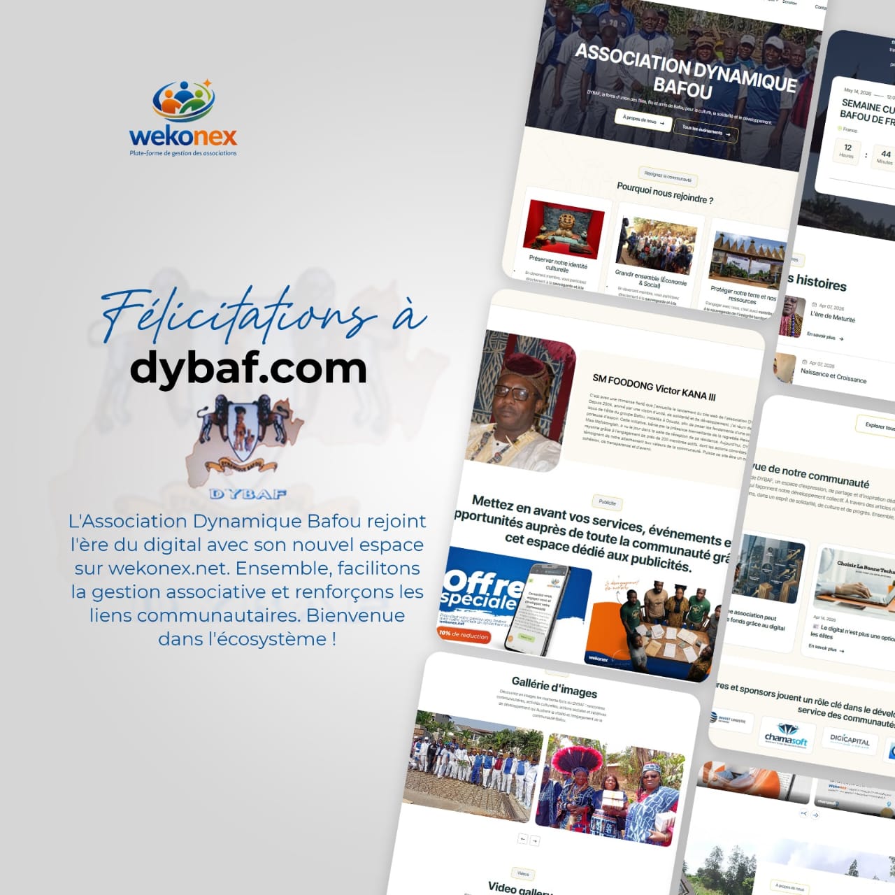 www.dybaf.com